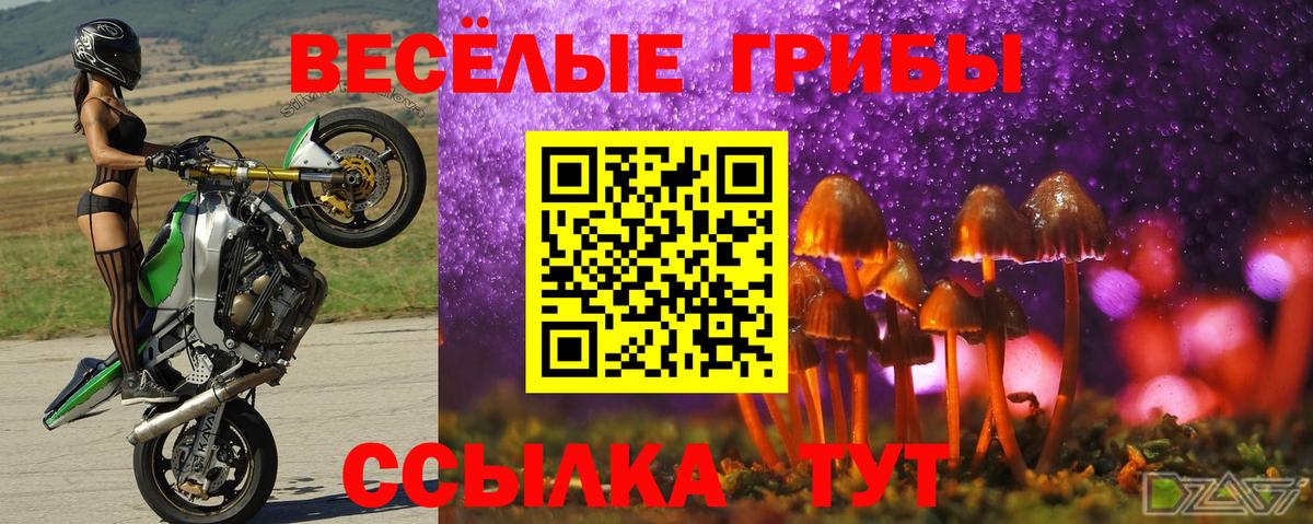 Галлюциногенные грибы мухоморы Изобильный