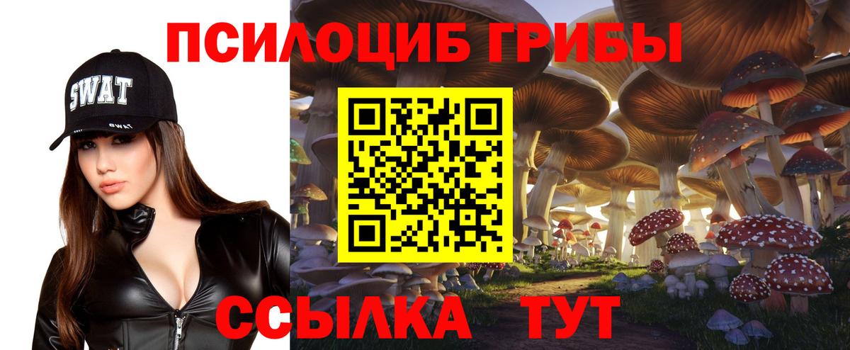 Псилоцибиновые грибы прущие грибы  Вход с VPN  Изобильный 